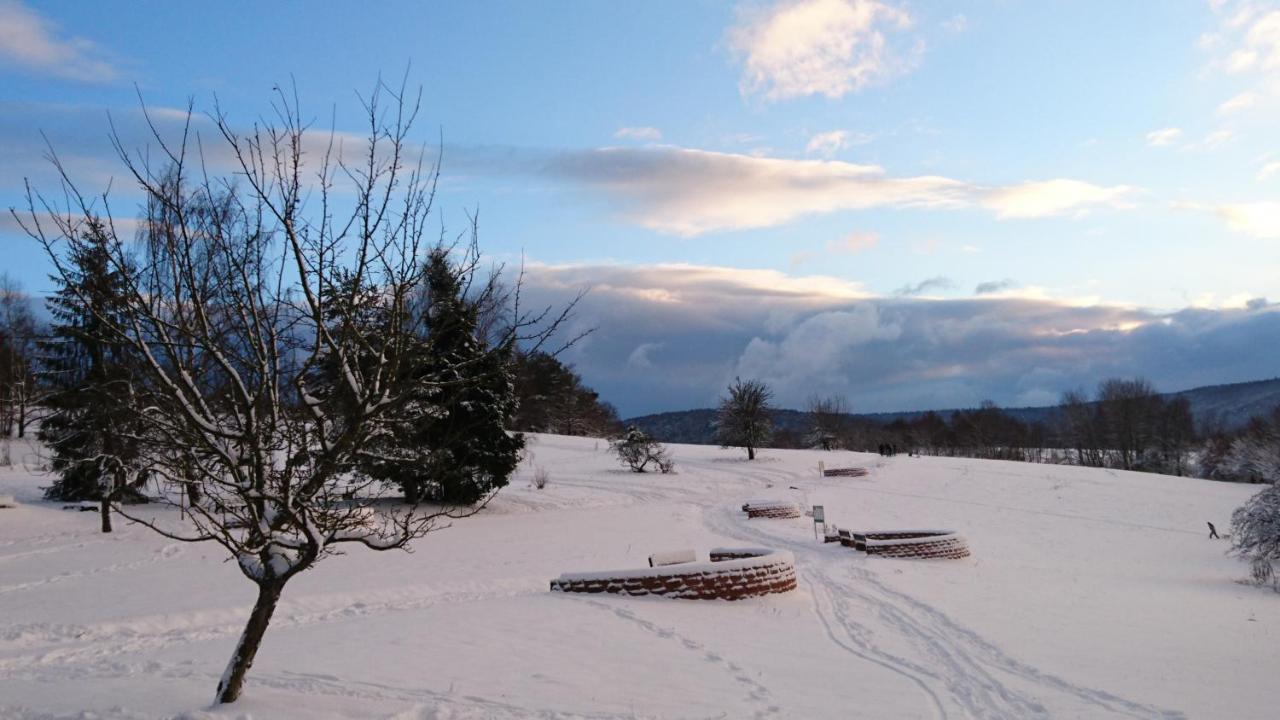 Hotel Landgasthof Oberschnorrhof Dammbach エクステリア 写真
