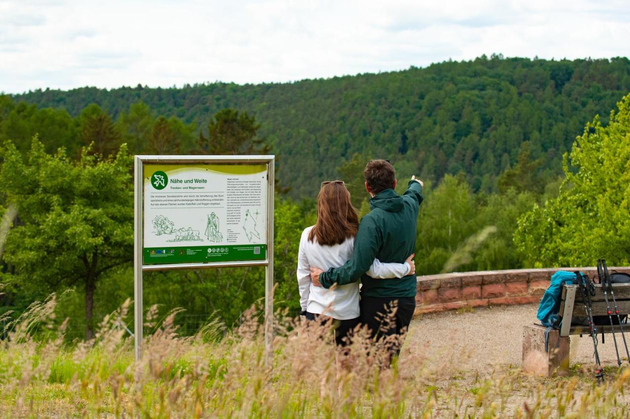 Hotel Landgasthof Oberschnorrhof Dammbach エクステリア 写真